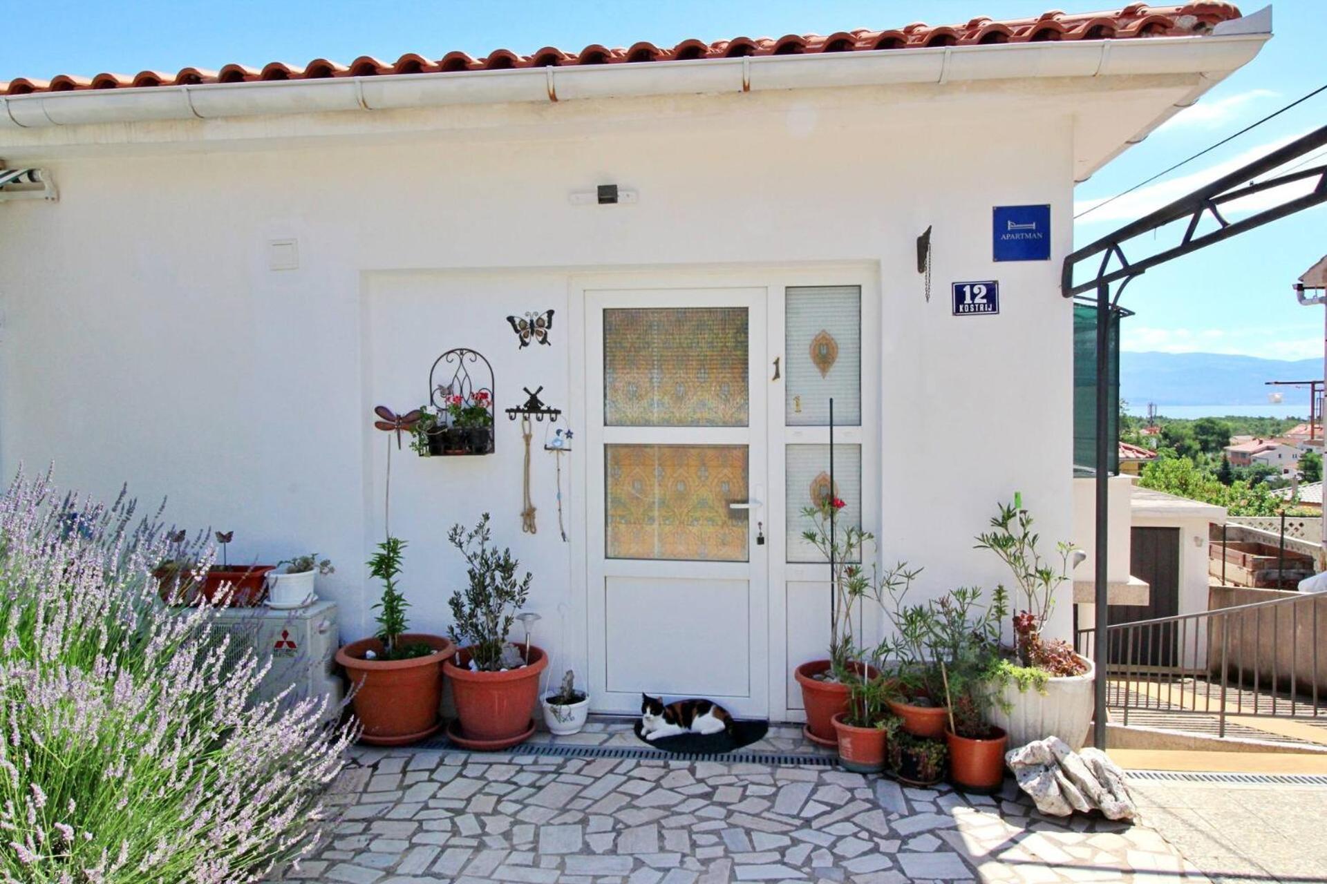 Apartment Renata Šilo Exterior foto